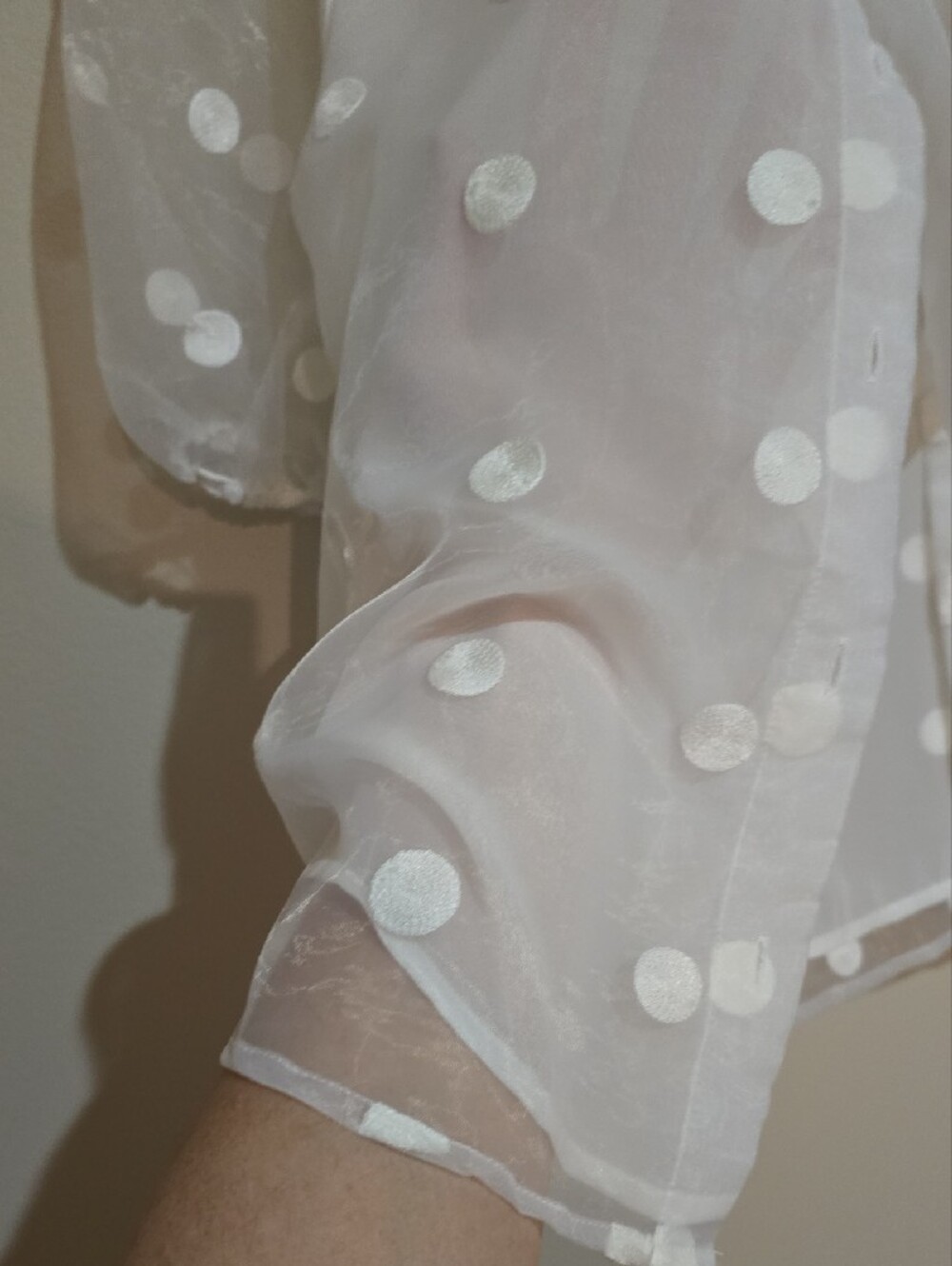 White Sheer Polka Dot Tie-Neck Blouse - Picture 4 of 4